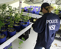 Agents uncover hydroponic marijuana grow and weapons at National City warehouse