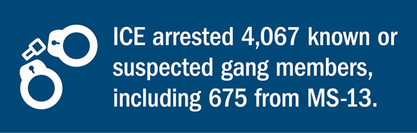 ICE arrested 4,067 known or suspected gang members, including 675 from MS-13.
