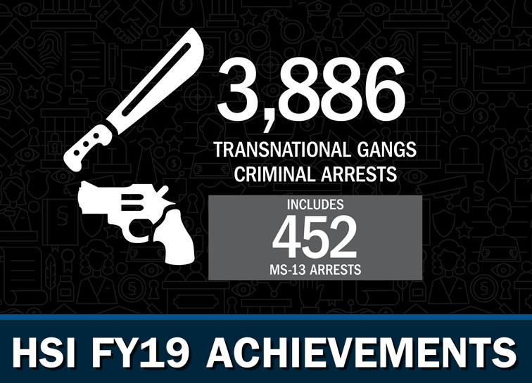 HSI FY19 Achievements: Gangs