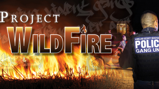 Project Wildfire