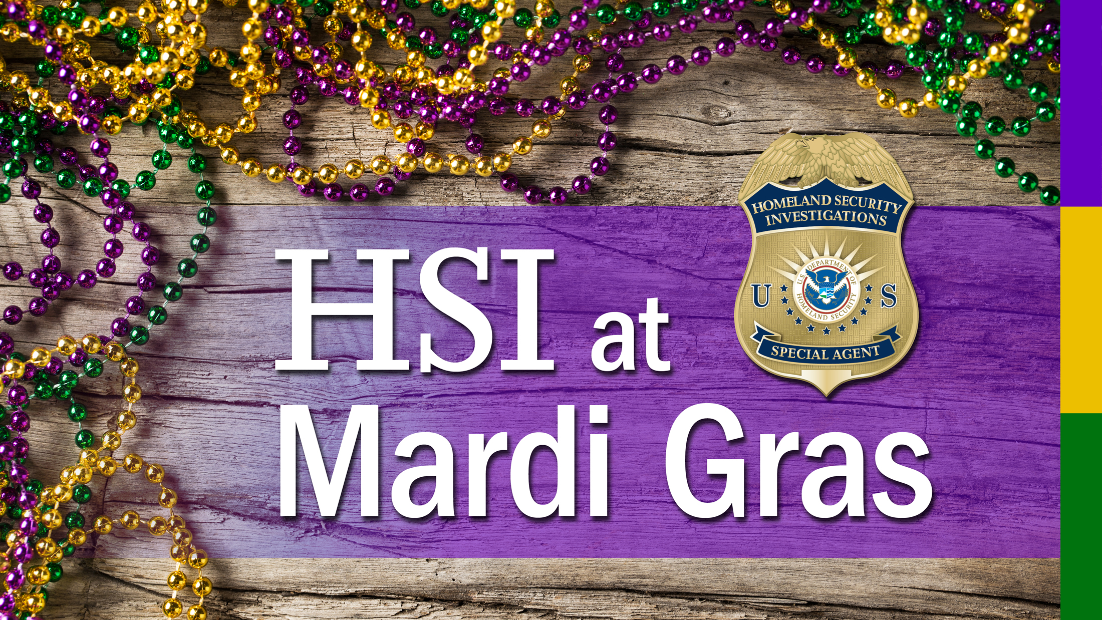 HSI at Mardi Gras HSI at Mardi Gras