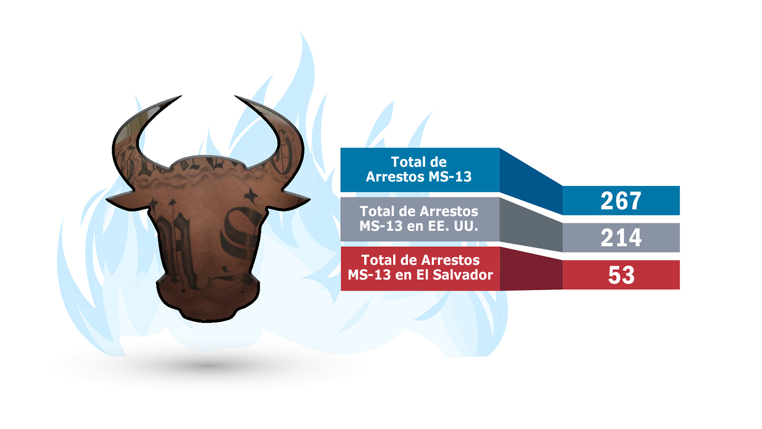 Operación Toro Salvaje Infographic