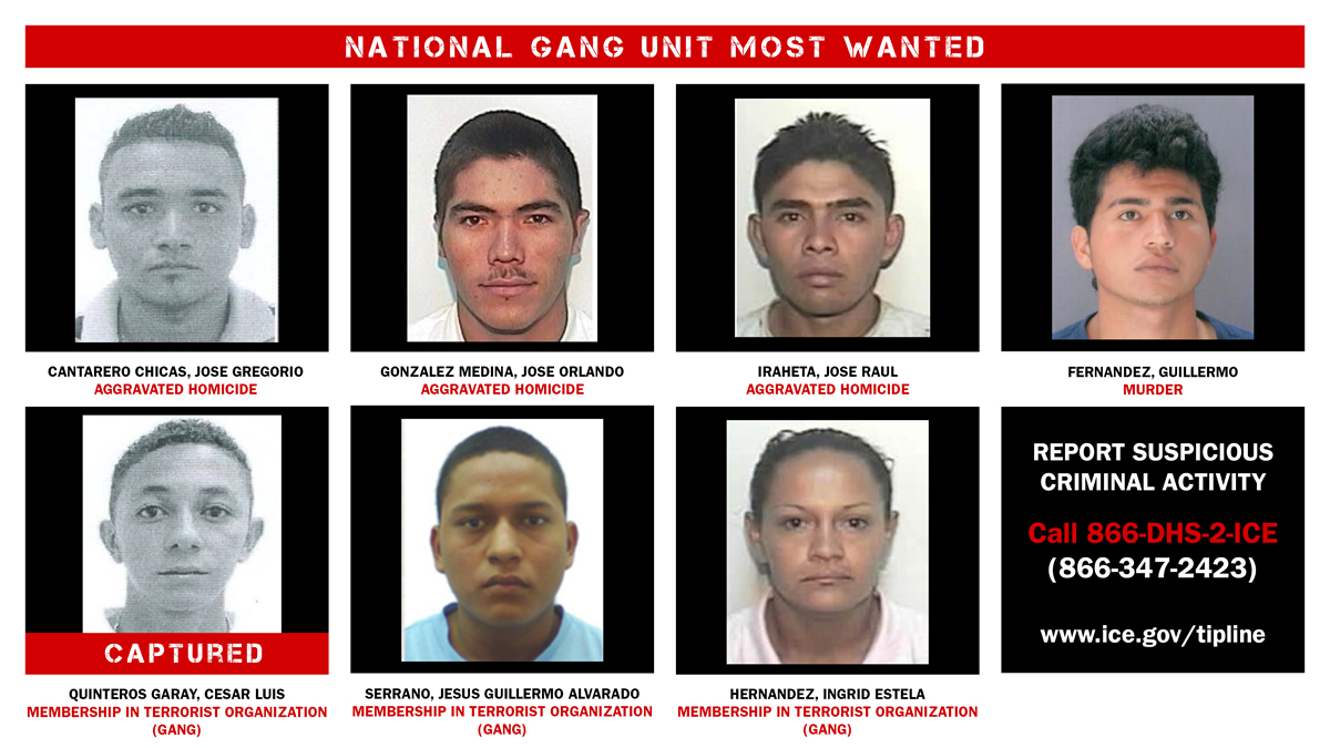 Operation Raging Bull Most Wanted