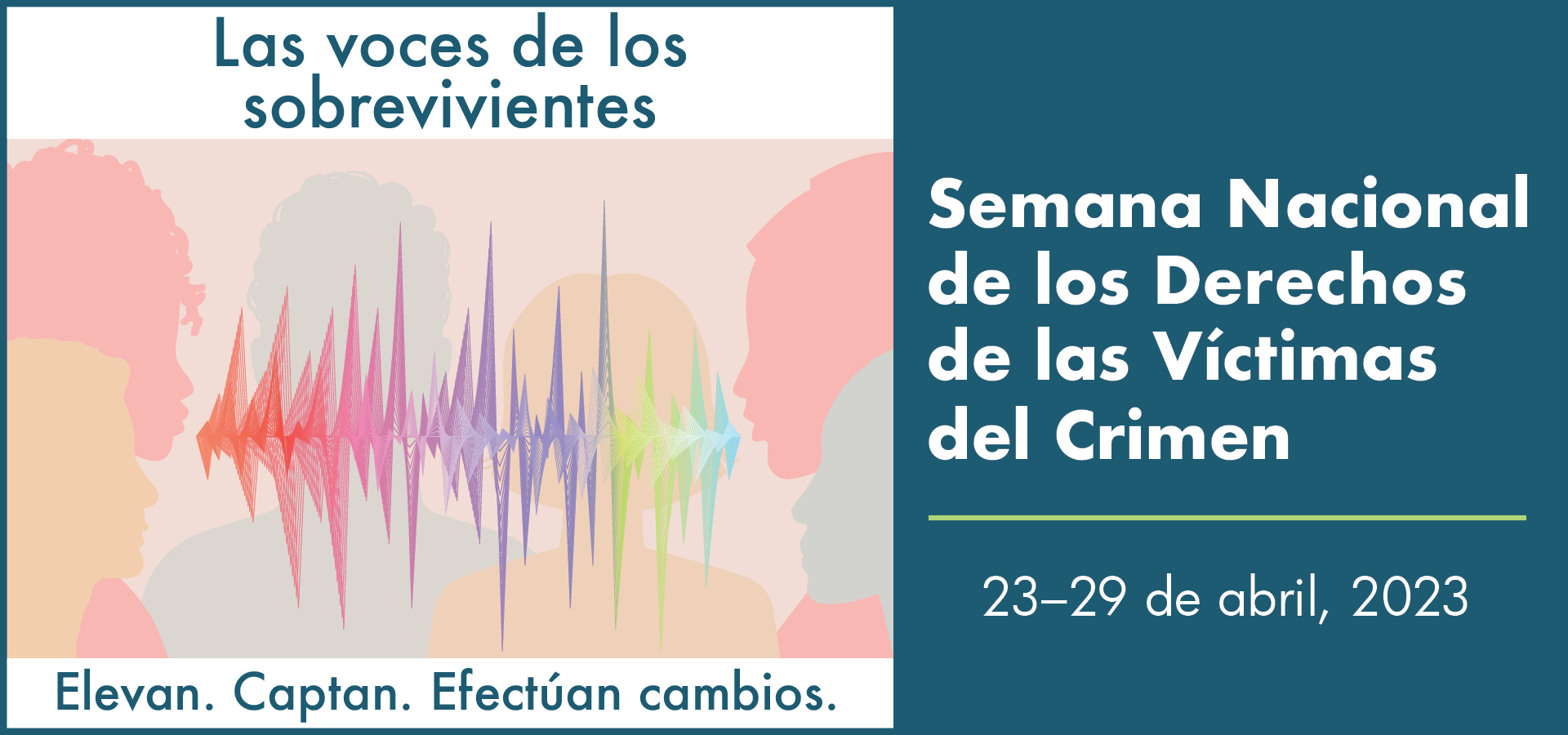 Voces del Programa de Asistencia a Víctimas de HSI