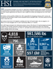 HSI By the Numbers 2017