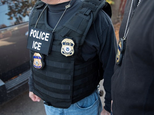 ICE Agents and Badges