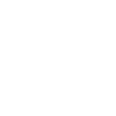 CRIMINAL ARRESTS