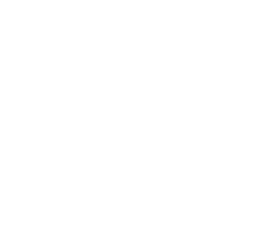 CRIMINAL ARRESTS