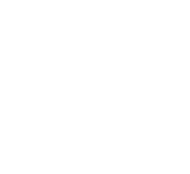 USD ILLICIT PROCEEDS SEIZED
