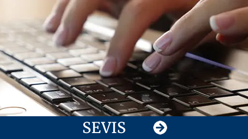 Click here to go to the SEVIS Overview webpage