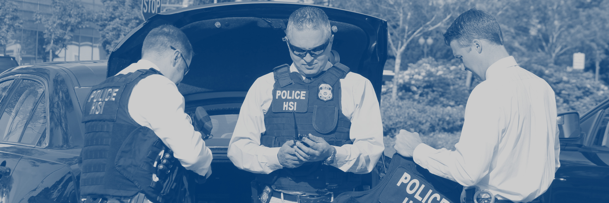 A Serious Investigative Investigation: 'Who Are