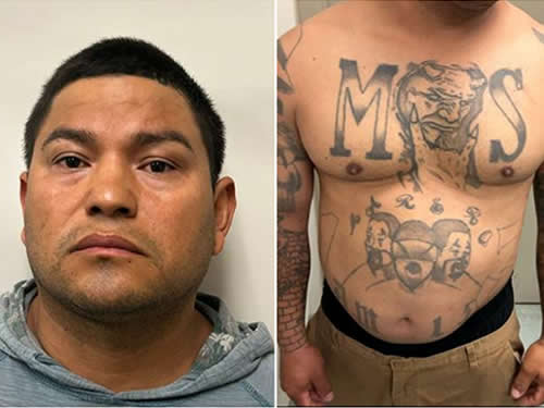 ICE makes significant arrest of MS-13 gang member wanted in home country