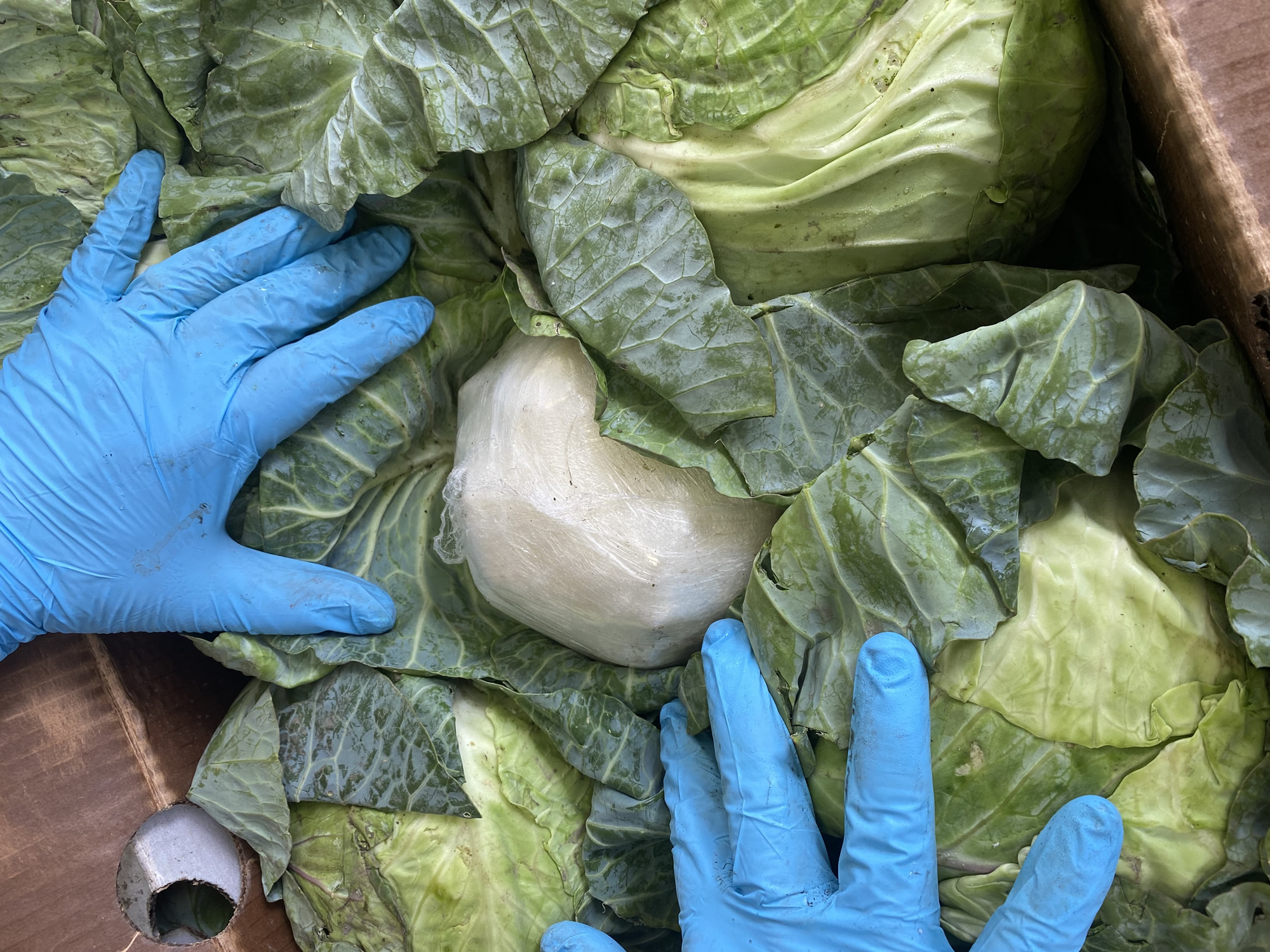 Mexican illegal alien sentenced to 11 years for smuggling 3,000 pounds of methamphetamine in truckload of cabbages following ICE Rio Grande Valley, federal partner investigation