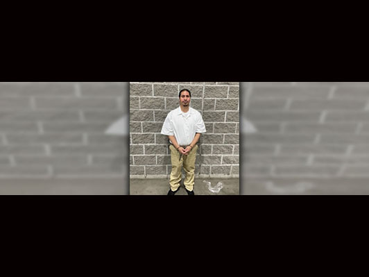 ICE Buffalo arrests Mexican criminal aliens with felony convictions