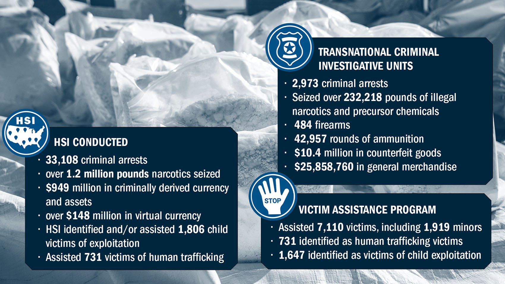 Homeland Security Investigations statistics