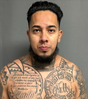 Carlos Mendoza-Martinez