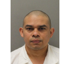 Jose Elias Mejia-Orellana
