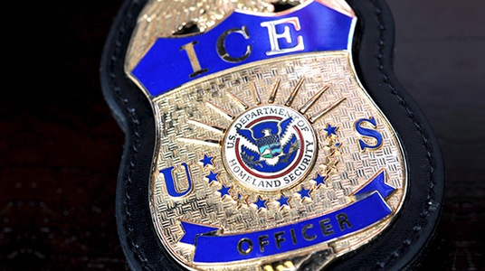 ICE Officer Badge