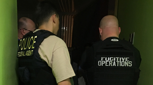 ICE arrests 51 individuals during 6-day operation in VA, DC