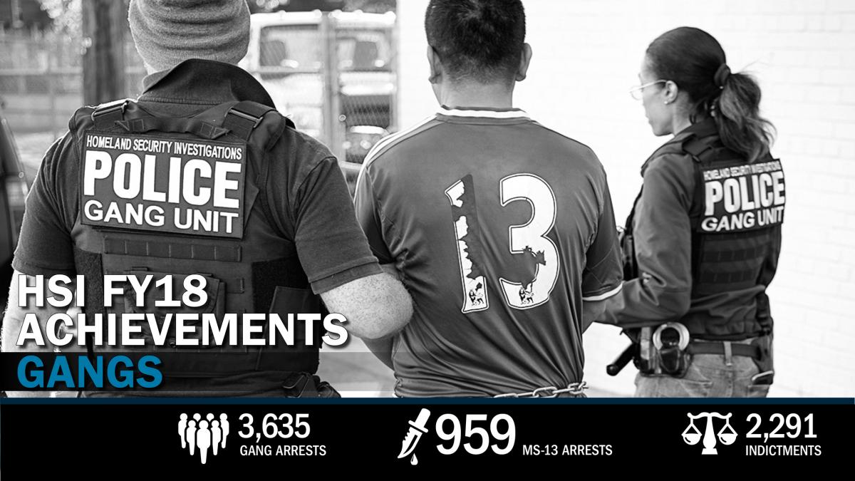 HSI FY18 Achievements: Gangs