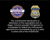 joint FBI/HSI anti-piracy warning