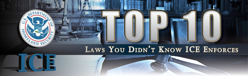 The top 10 laws you didn't know ICE enforces