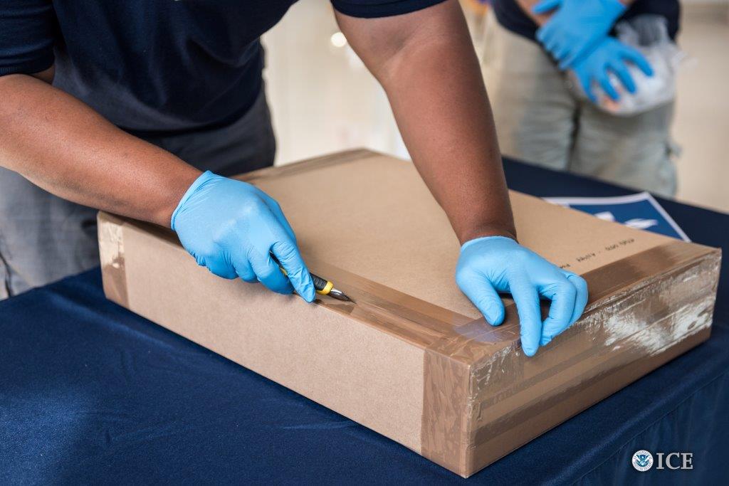 French Repatriation of Picasso's 'La Coiffeuse'
