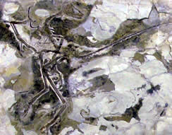 Micro Raptor Fossil 