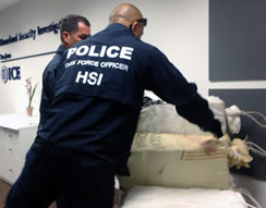 ICE, Caribbean Corridor Strike Force partners seize $60 million worth of cocaine, marijuana 