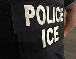 ICE arrests 32 sex offenders in Long Island during Operation SOAR