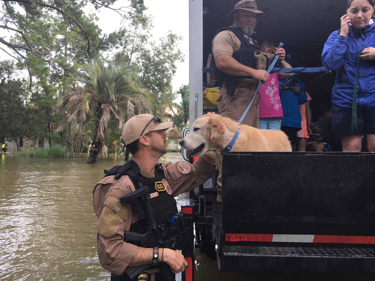 ICE deploys over 200 personnel to assist with Hurricane Harvey rescue efforts
