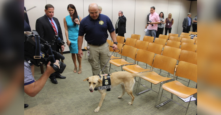 Charlie, a 2-year-old Labrador retriever, is the first and only electronic-detection forensic K9 in Pennsylvania