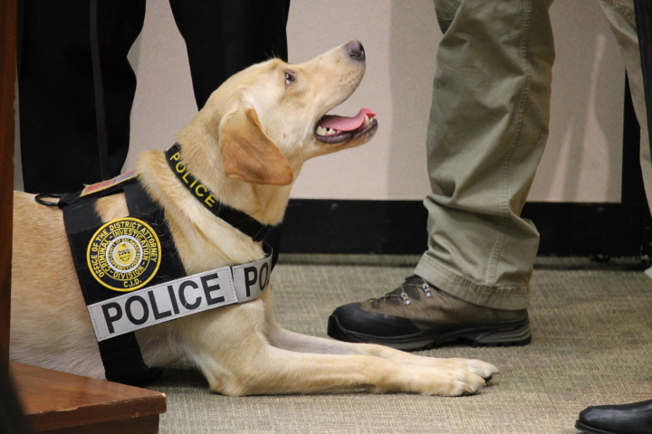 Charlie, a 2-year-old Labrador retriever, is the first and only electronic-detection forensic K9 in Pennsylvania