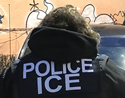 ICE arrests 225 during Operation Keep Safe in New York