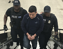 ICE removes Guatemalan national wanted for murder