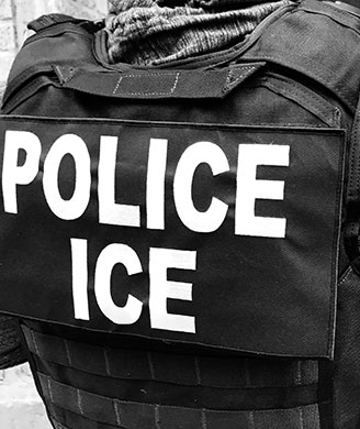 ICE arrests 31 in 5-day New York City metropolitan-area enforcement surge