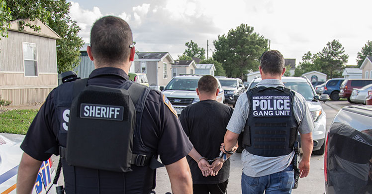 ICE Houston arrests 23 gang members, associates during operation targeting MS-13