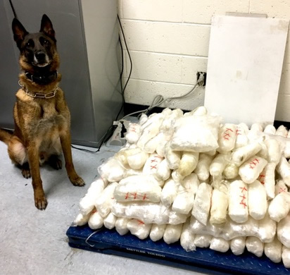 Yuma County Sheriff’s Office K-9 “Jax” with more than 221 lbs. of seized methamphetamine  