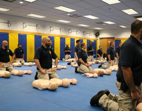 Physical Training: Fletc Physical Training