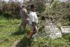 Tree Cutting in Casa de Todos